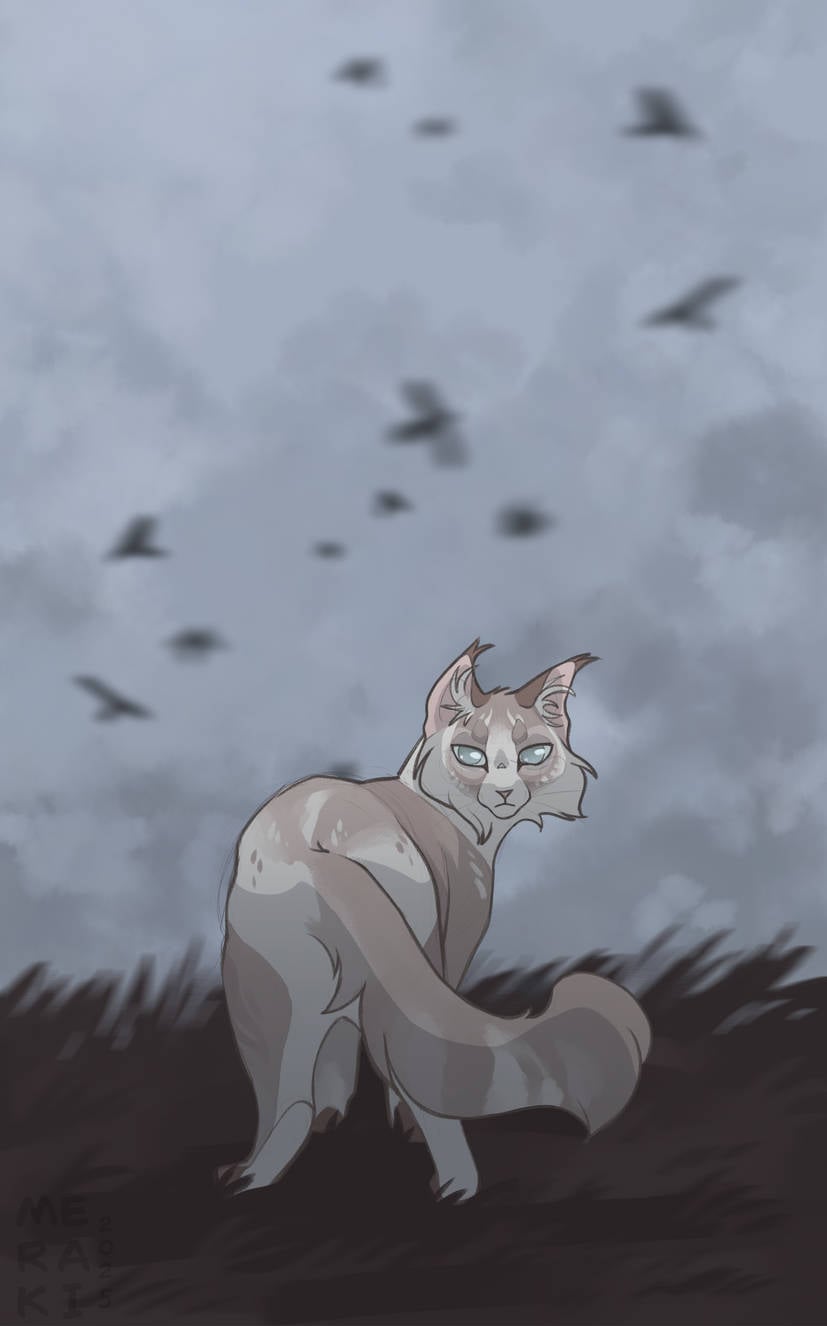Sketch trade